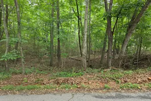Lot 109 Arrowhead Dr, Lavonia, GA 30553 - Photo 1