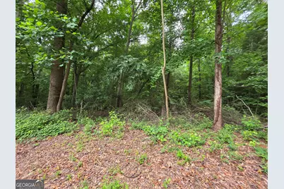 Lot 109 Arrowhead Drive, Lavonia, GA 30553 - Photo 7