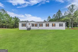 750 NE S T Morris Rd, Ludowici, GA 31316 - Photo 1