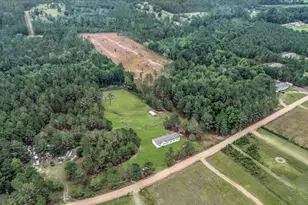 750 NE S T Morris Rd, Ludowici, GA 31316 - Photo 39