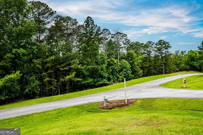 1041 Cedar Ridge Drive, Greensboro, GA 30642 - Photo 11