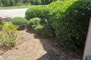 143 Ellis Drive, Conyers, GA 30012 - Photo 3