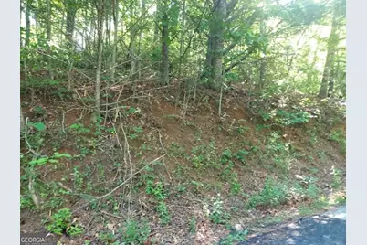 0 Driver Lane, Sky Valley, GA 30537 - Photo 5