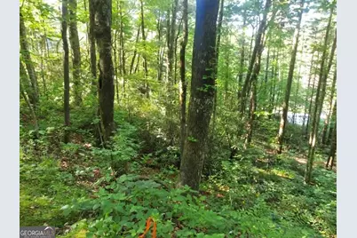 0 Driver Lane, Sky Valley, GA 30537 - Photo 3