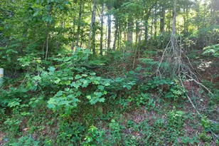 0 Driver Ln, Sky Valley, GA 30537 - Photo 1