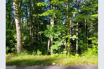 0 Driver Lane, Sky Valley, GA 30537 - Photo 9