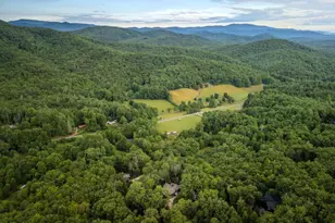 101 Heights Overlook, Blue Ridge, GA 30513 - Photo 49