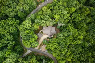 101 Heights Overlook, Blue Ridge, GA 30513 - Photo 47