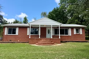 1351 Hwy 26, Hawkinsville, GA 31036 - Photo 3
