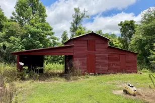 1351 Hwy 26, Hawkinsville, GA 31036 - Photo 29