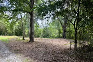 1351 Hwy 26, Hawkinsville, GA 31036 - Photo 41