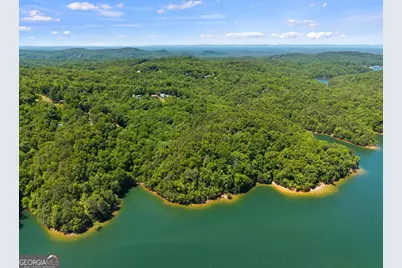 122 Zane Drive, Ellijay, GA 30540 - Photo 55