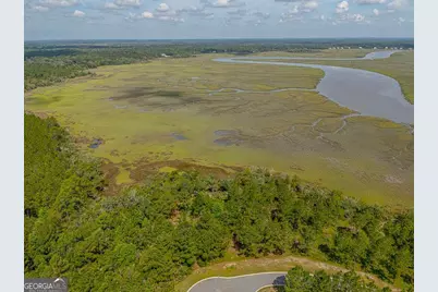 Lot 98 Wards Way, Waverly, GA 31565 - Photo 5