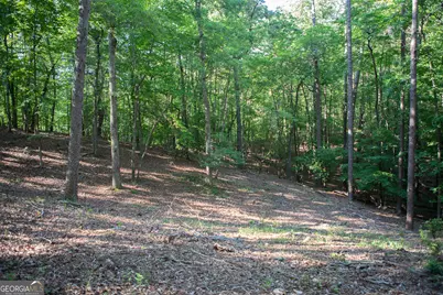 0 Kerns Ridge Court, Dawsonville, GA 30534 - Photo 13