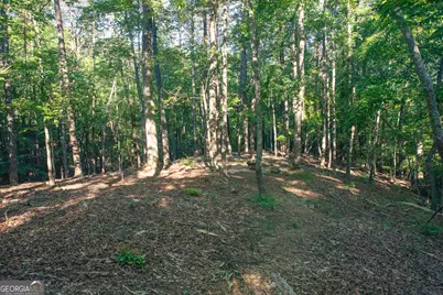 0 Kerns Ridge Court, Dawsonville, GA 30534 - Photo 7