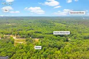 3030 Smith McGee Rd, Iva, SC 29655 - Photo 69