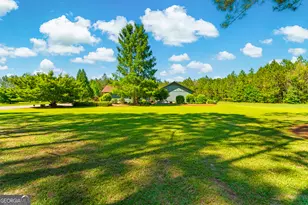 4236 S Newton Rd, Millen, GA 30442 - Photo 65