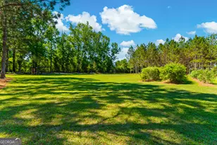 4236 S Newton Rd, Millen, GA 30442 - Photo 75