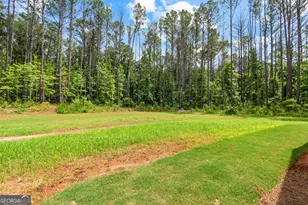 134 Coyote Cir, Greenville, GA 30222 - Photo 41