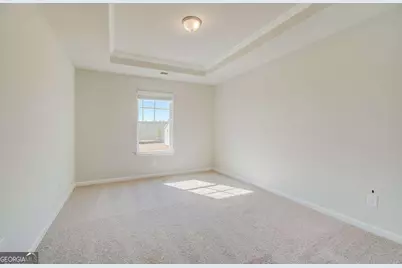 229 Ruthe Cove, Locust Grove, GA 30248 - Photo 21