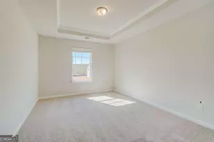 229 Ruthe Cv, Locust Grove, GA 30248 - Photo 21