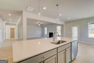229 Ruthe Cv, Locust Grove, GA 30248 - Photo 19