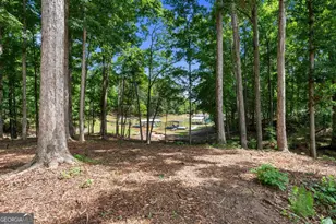 183 Lake Pointe Rd, Hartwell, GA 30643 - Photo 65