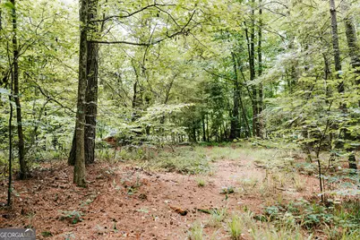0 Stephens Salem Road, Stephens, GA 30667 - Photo 5