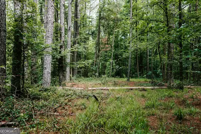 0 Stephens Salem Road, Stephens, GA 30667 - Photo 9