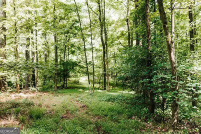 0 Stephens Salem Road, Stephens, GA 30667 - Photo 11