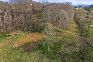 5446 Murphy Hwy, Blairsville, GA 30512 - Photo 11