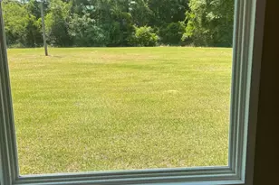 114 McCarthy Rd, Buena Vista, GA 31803 - Photo 7