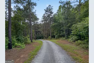 1401 Needmore Road, Roopville, GA 30170 - Photo 43