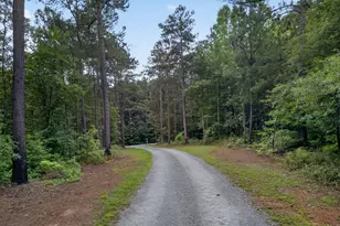 1401 Needmore Rd, Roopville, GA 30170 - Photo 43