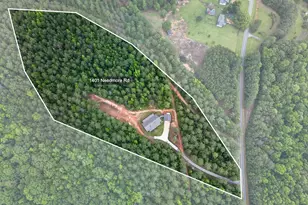 1401 Needmore Rd, Roopville, GA 30170 - Photo 51