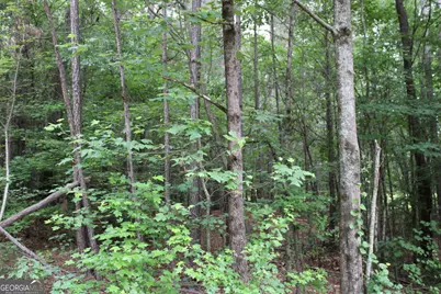 1 Garnett Ward Road, Hull, GA 30646 - Photo 1