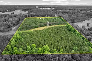 1329 Standing Rock Rd, Senoia, GA 30276 - Photo 59