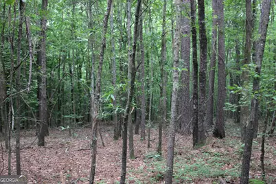 2 Garnett Ward Road, Hull, GA 30646 - Photo 3