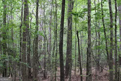 3 Garnett Ward Road, Hull, GA 30646 - Photo 3