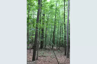 3 Garnett Ward Road, Hull, GA 30646 - Photo 1