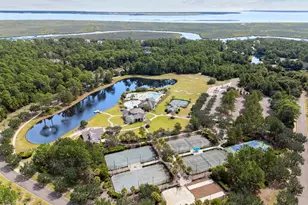 101 Spanish Moss Ct, Saint Marys, GA 31558 - Photo 189