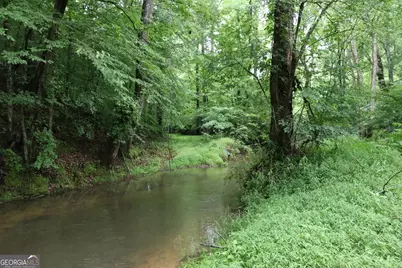 833 Neal Gap Road, Summerville, GA 30747 - Photo 39