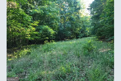 833 Neal Gap Road, Summerville, GA 30747 - Photo 85