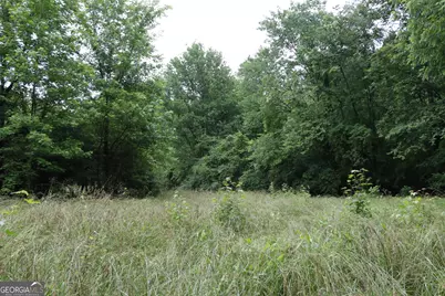 833 Neal Gap Road, Summerville, GA 30747 - Photo 23