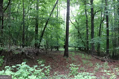 833 Neal Gap Road, Summerville, GA 30747 - Photo 75