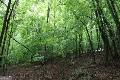 833 Neal Gap Road, Summerville, GA 30747 - Photo 57