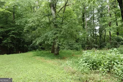 833 Neal Gap Road, Summerville, GA 30747 - Photo 33