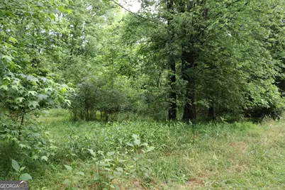 833 Neal Gap Road, Summerville, GA 30747 - Photo 27