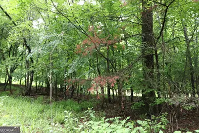 833 Neal Gap Road, Summerville, GA 30747 - Photo 73