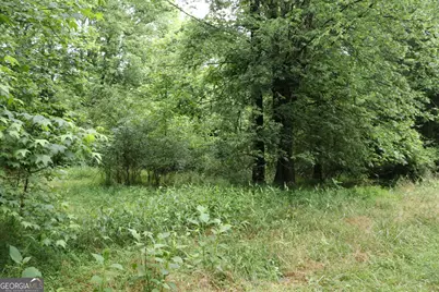 833 Neal Gap Road, Summerville, GA 30747 - Photo 31
